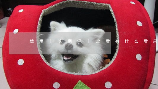 信用卡逾期停卡之后有什么后果