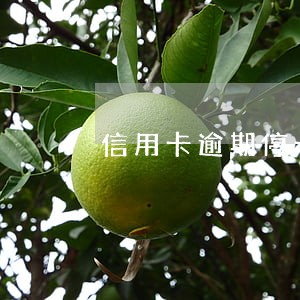 信用卡逾期停卡了下一步会是什么 信用卡逾期停卡了下一步会是什么
