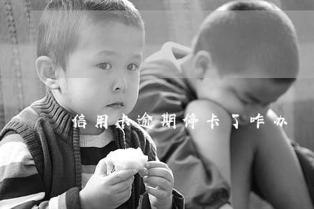 信用卡逾期停卡了咋办 信用卡逾期停卡了咋办