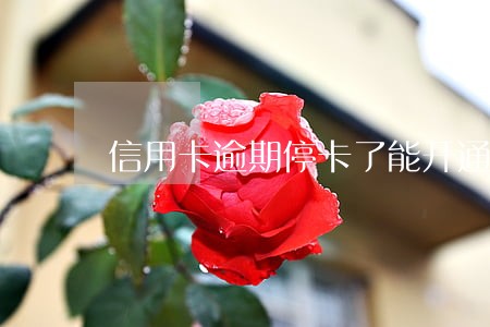 信用卡逾期停卡了能开通吗 信用卡逾期停卡了能开通吗