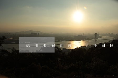 信用卡逾期停卡了还可以申请吗 信用卡逾期停卡了还可以申请吗