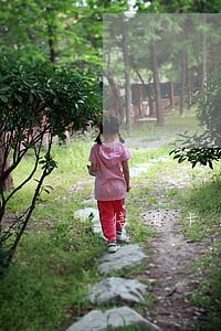 信用卡逾期停卡了还能办分期吗 信用卡逾期停卡了还能办分期吗