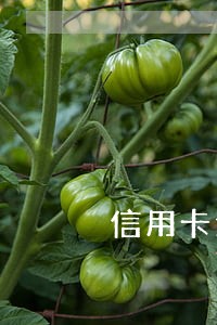 信用卡逾期停卡了还能开通吗 信用卡逾期停卡了还能开通吗