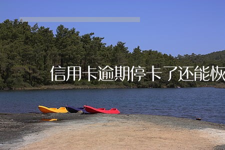信用卡逾期停卡了还能恢复么 信用卡逾期停卡了还能恢复么