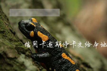 信用卡逾期停卡交给本地支行