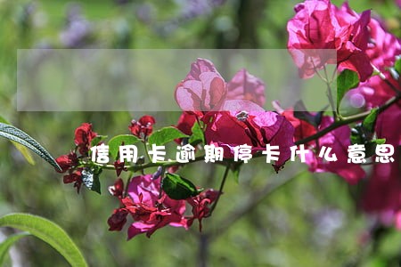 信用卡逾期停卡什么意思 信用卡逾期停卡什么意思
