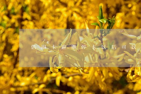 信用卡逾期停卡以后可以解冻吗 信用卡逾期停卡以后可以解冻吗