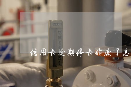 信用卡逾期停卡作废了怎么办 信用卡逾期停卡作废了怎么办