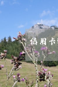 信用卡逾期停卡分期