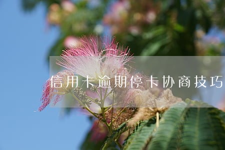 信用卡逾期停卡协商技巧
