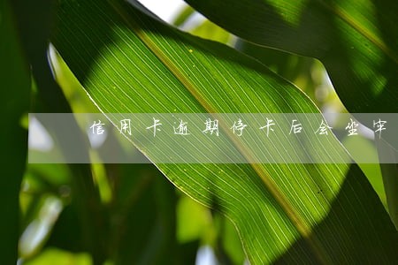 信用卡逾期停卡后会坐牢吗 信用卡逾期停卡后会坐牢吗