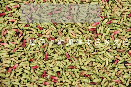 信用卡逾期停卡后多久必须还款 信用卡逾期停卡后多久必须还款