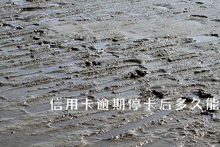 信用卡逾期停卡后多久能激活 信用卡逾期停卡后多久能激活