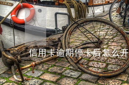 信用卡逾期停卡后怎么开通 信用卡逾期停卡后怎么开通