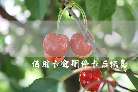 信用卡逾期停卡后恢复 信用卡逾期停卡后恢复