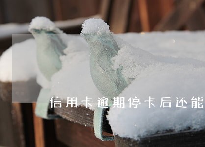 信用卡逾期停卡后还能用吗 信用卡逾期停卡后还能用吗
