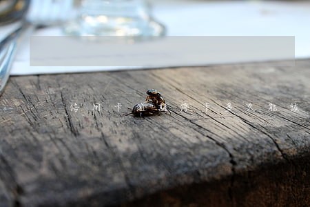 信用卡逾期停卡多久能恢复正常 信用卡逾期停卡多久能恢复正常