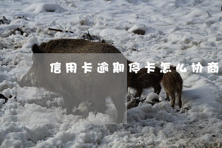 信用卡逾期停卡怎么协商分期 信用卡逾期停卡怎么协商分期