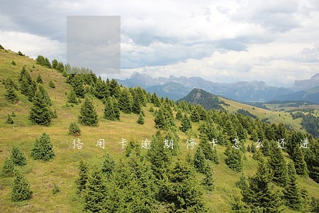 信用卡逾期停卡怎么还进去 信用卡逾期停卡怎么还进去