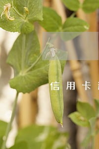 信用卡逾期停卡是冻结吗 信用卡逾期停卡是冻结吗