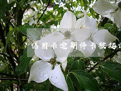 信用卡逾期停卡被起诉的后果 信用卡逾期停卡被起诉的后果