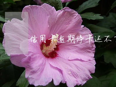 信用卡逾期停卡还不了怎么办