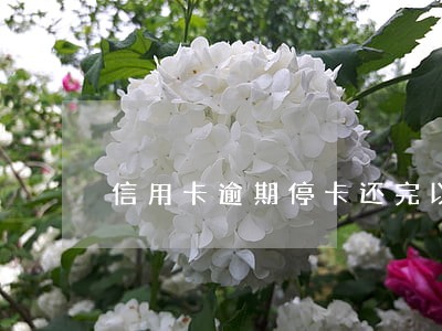 信用卡逾期停卡还完以后还能用吗 信用卡逾期停卡还完以后还能用吗