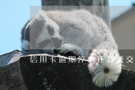 信用卡逾期停卡还款要交易码吗 信用卡逾期停卡还款要交易码吗