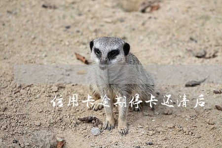信用卡逾期停卡还清后 信用卡逾期停卡还清后