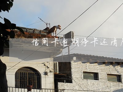 信用卡逾期停卡还清后还可以用吗 信用卡逾期停卡还清后还可以用吗