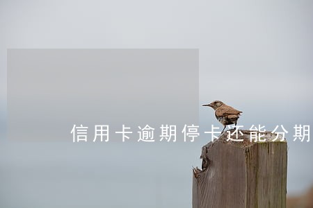 信用卡逾期停卡还能分期 信用卡逾期停卡还能分期