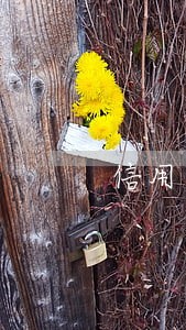 信用卡逾期停卡还能办分期么 信用卡逾期停卡还能办分期么