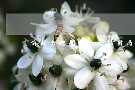 信用卡逾期停卡还能用吗 信用卡逾期停卡还能用吗