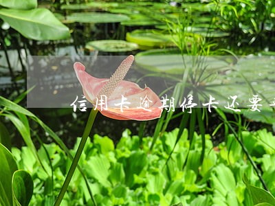 信用卡逾期停卡还要年费怎么办 信用卡逾期停卡还要年费怎么办