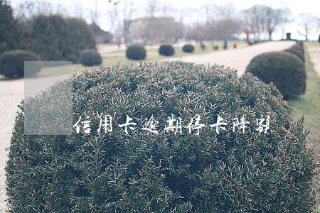 信用卡逾期停卡降额 信用卡逾期停卡降额