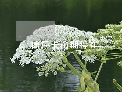 信用卡逾期停崔 信用卡逾期停崔
