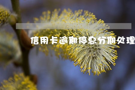 信用卡逾期停息分期处理 信用卡逾期停息分期处理