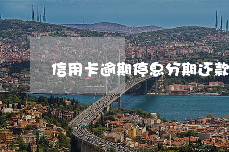 信用卡逾期停息分期还款花旗 信用卡逾期停息分期还款花旗