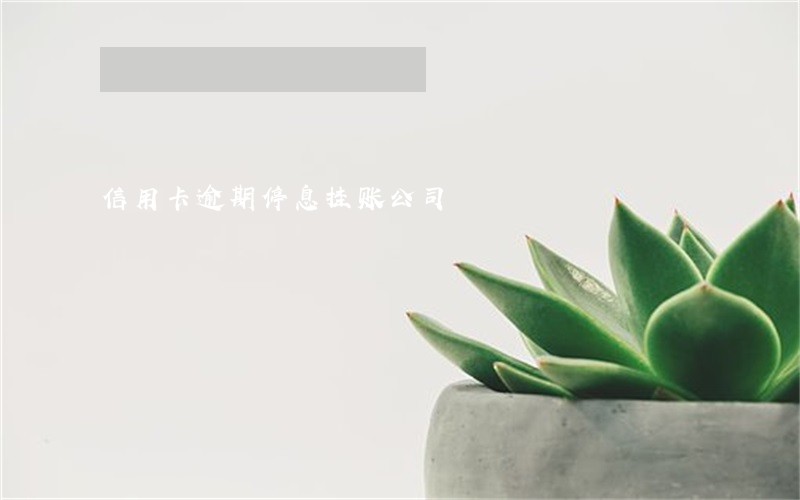 信用卡逾期停息挂账公司 信用卡逾期停息挂账公司