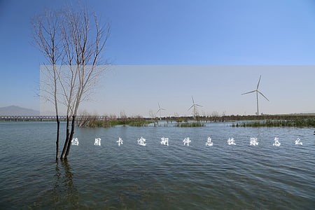 信用卡逾期停息挂账怎么做 信用卡逾期停息挂账怎么做