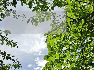 信用卡逾期停息挂账最新 信用卡逾期停息挂账最新