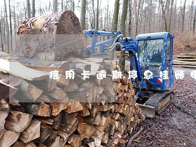 信用卡逾期停息挂账申请条件招商 信用卡逾期停息挂账申请条件招商
