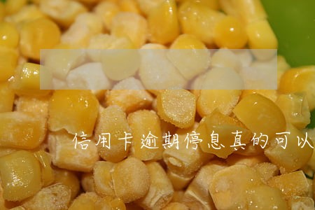 信用卡逾期停息真的可以么