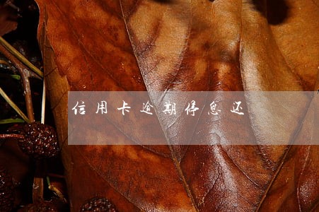 信用卡逾期停息还 信用卡逾期停息还