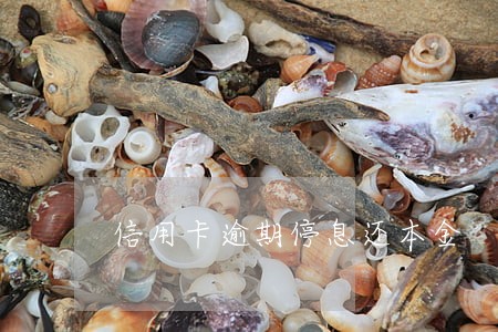 信用卡逾期停息还本金