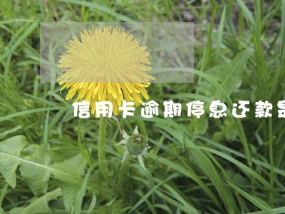 信用卡逾期停息还款是怎么还 信用卡逾期停息还款是怎么还