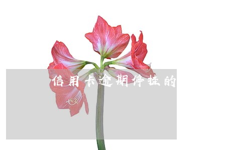 信用卡逾期停挂的话术 信用卡逾期停挂的话术