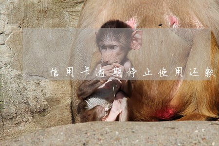 信用卡逾期停止使用还款有期限吗