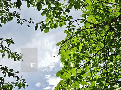 信用卡逾期停止账户啥意思 信用卡逾期停止账户啥意思
