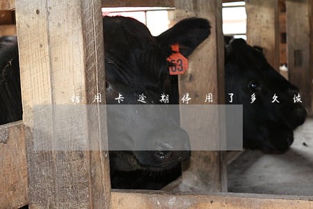 信用卡逾期停用了多久恢复 信用卡逾期停用了多久恢复